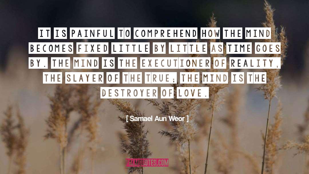 Samael Aun Weor Quotes: It is painful to comprehend