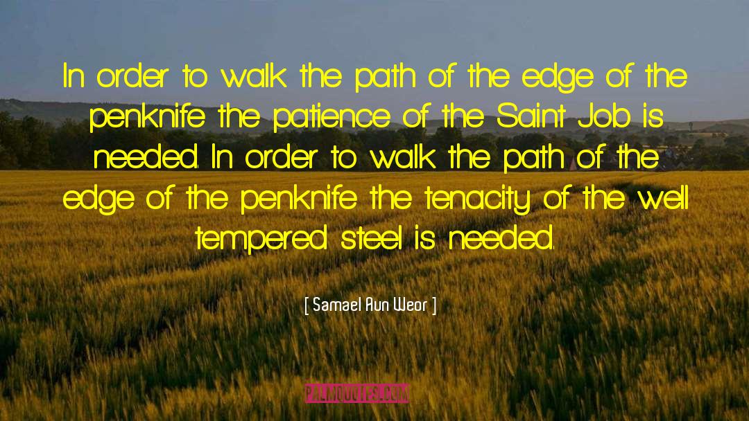 Samael Aun Weor Quotes: In order to walk the