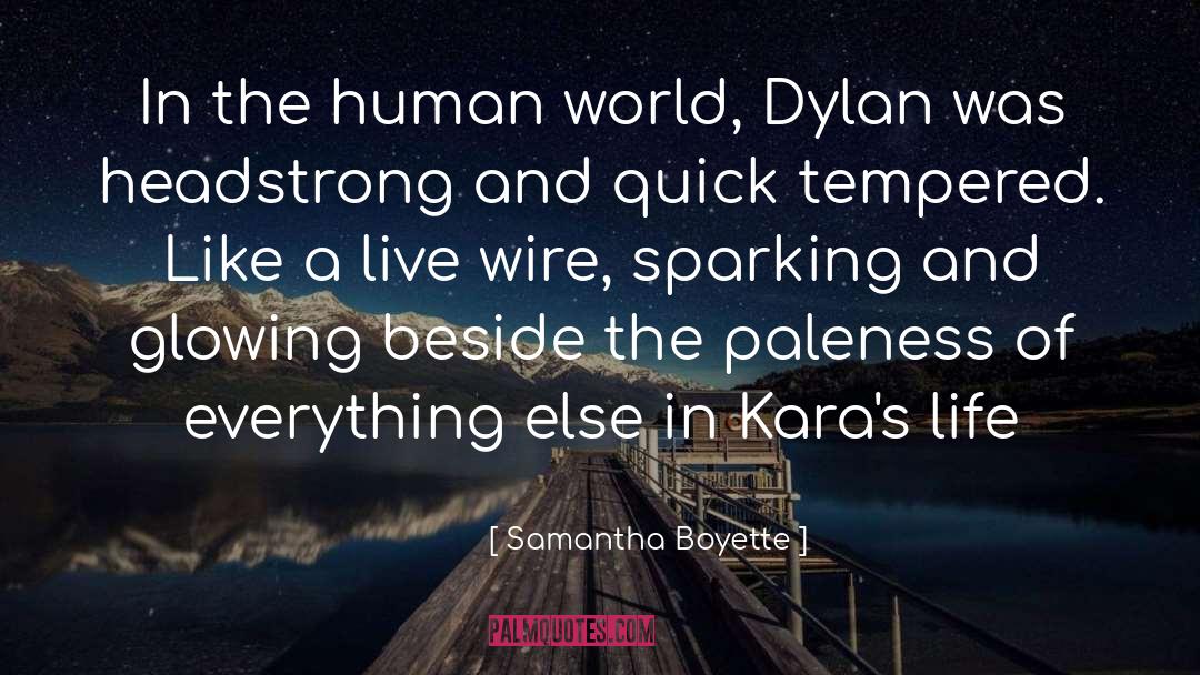 Samantha Boyette Quotes: In the human world, Dylan