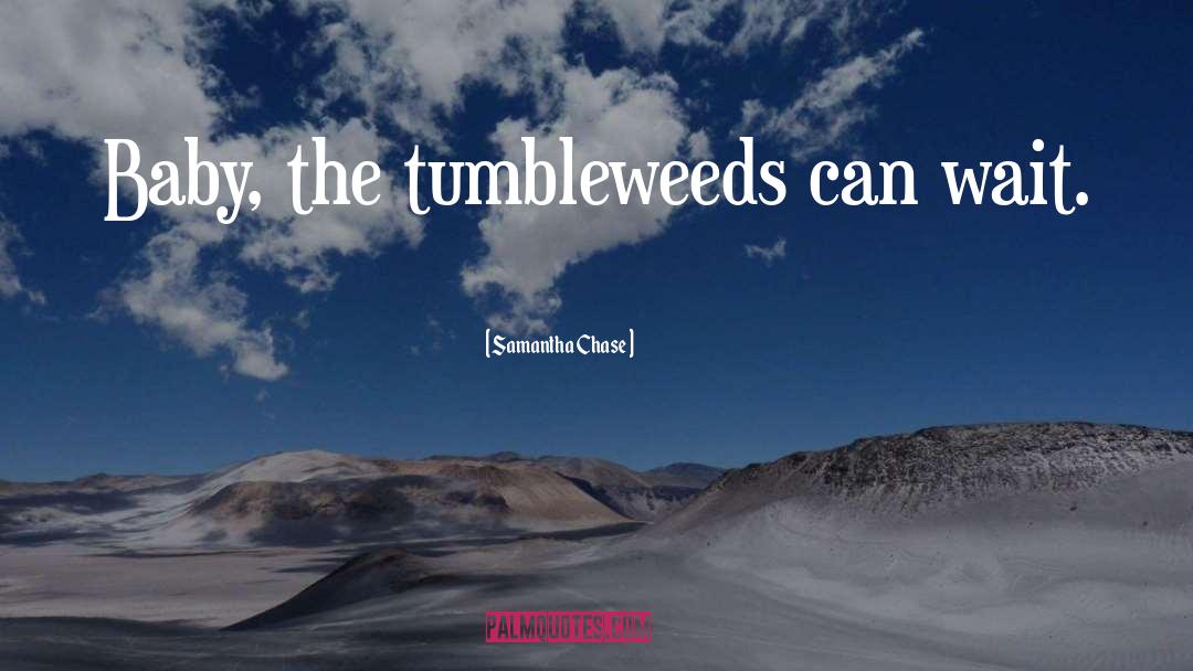 Samantha Chase Quotes: Baby, the tumbleweeds can wait.