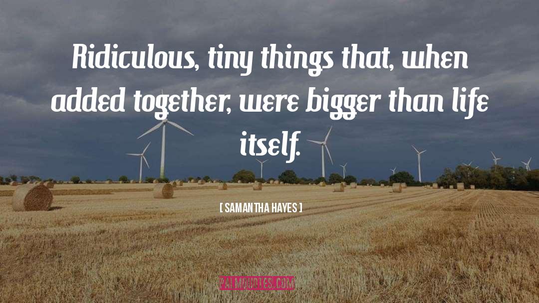 Samantha Hayes Quotes: Ridiculous, tiny things that, when