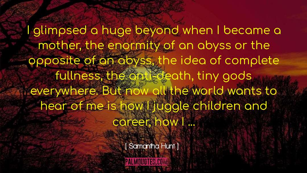 Samantha Hunt Quotes: I glimpsed a huge beyond