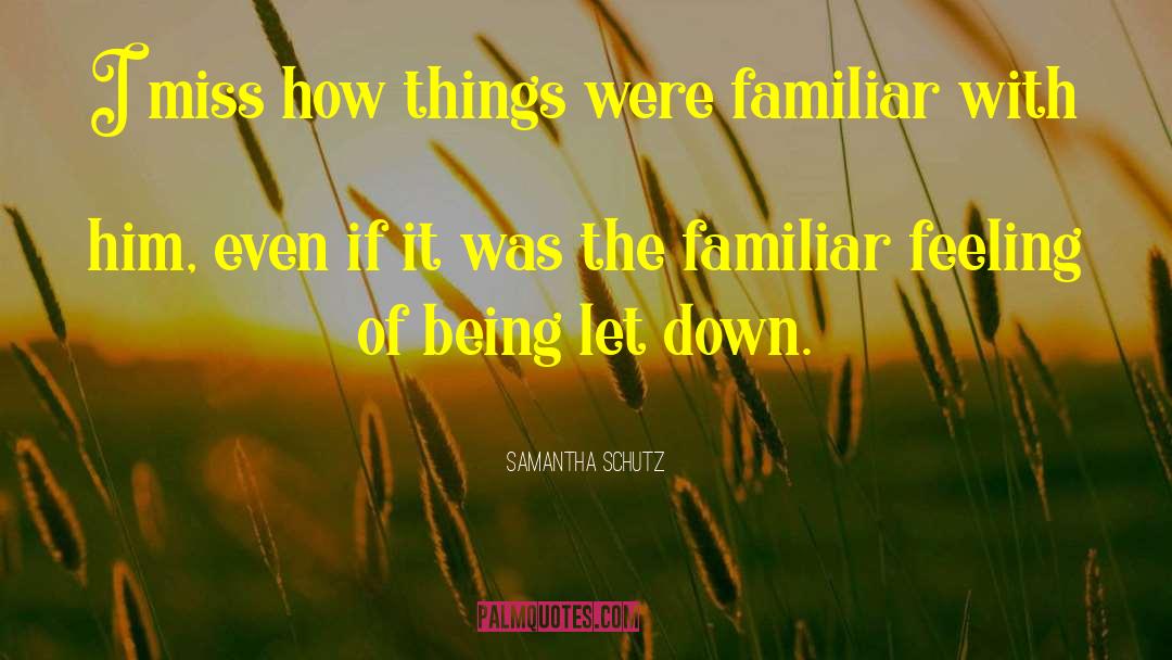 Samantha Schutz Quotes: I miss how things were