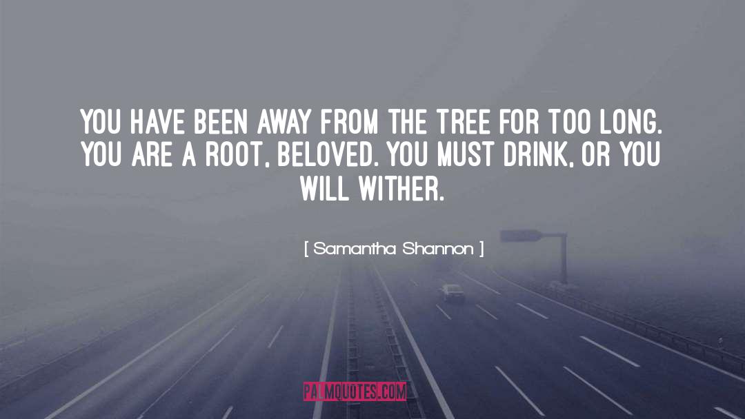 Samantha Shannon Quotes: You have been away from