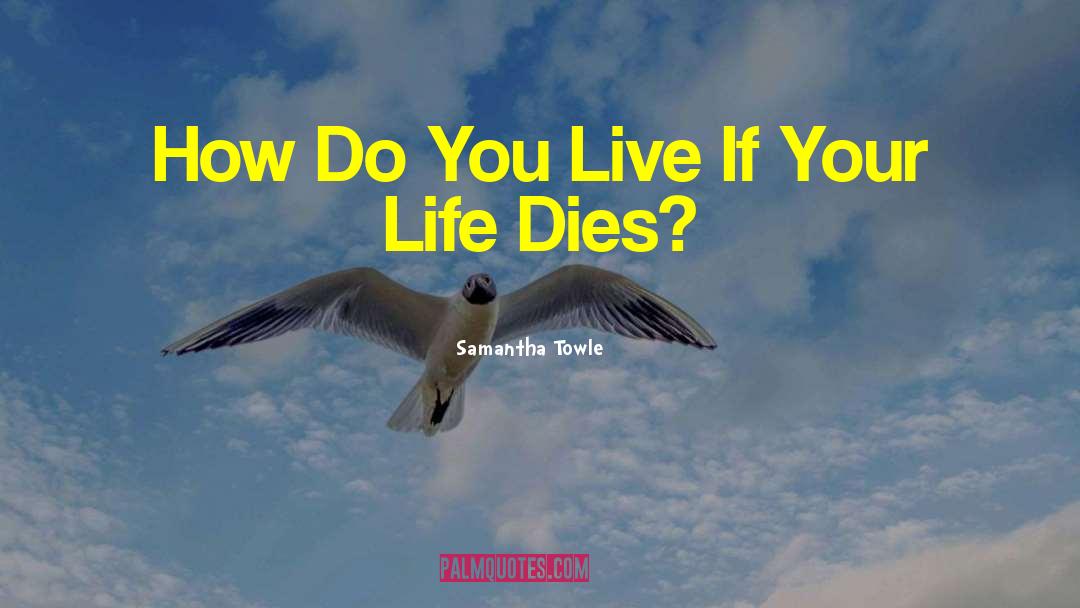 Samantha Towle Quotes: How Do You Live If