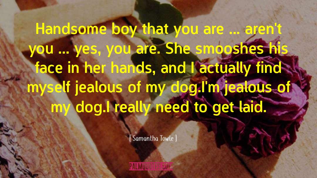 Samantha Towle Quotes: Handsome boy that you are