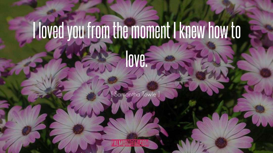 Samantha Towle Quotes: I loved you from the