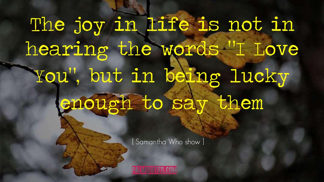 Samantha Who Show Quotes: The joy in life is