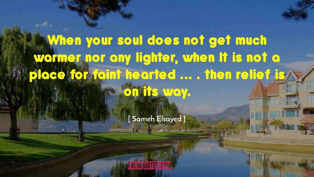 Sameh Elsayed Quotes: When your soul does not