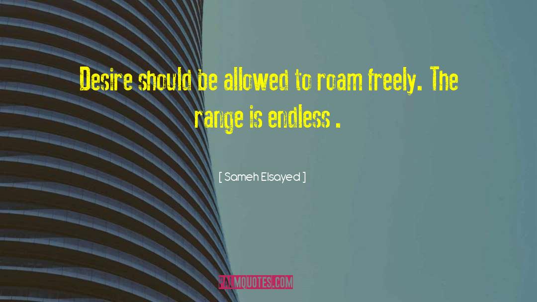 Sameh Elsayed Quotes: Desire should be allowed to