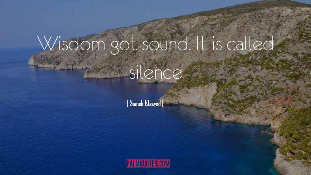 Sameh Elsayed Quotes: Wisdom got sound. It is