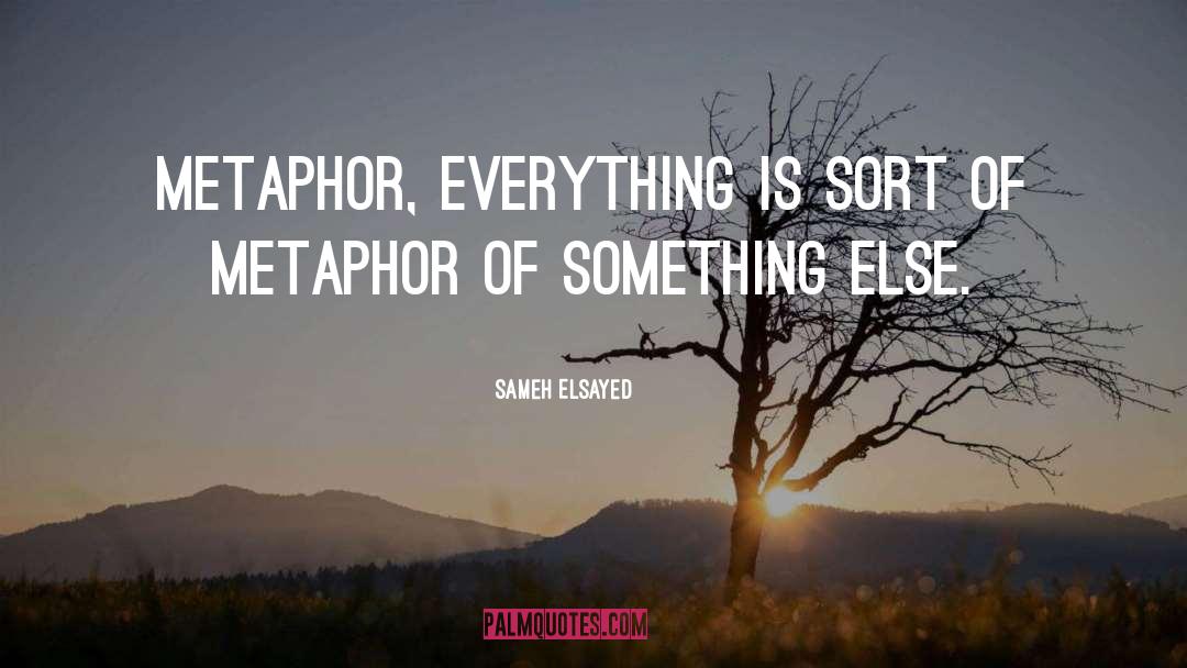 Sameh Elsayed Quotes: Metaphor, everything is sort of