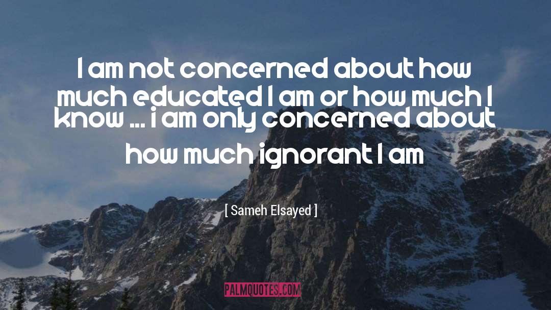 Sameh Elsayed Quotes: I am not concerned about