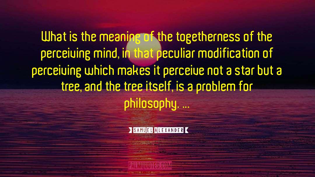 Samuel Alexander Quotes: What is the meaning of