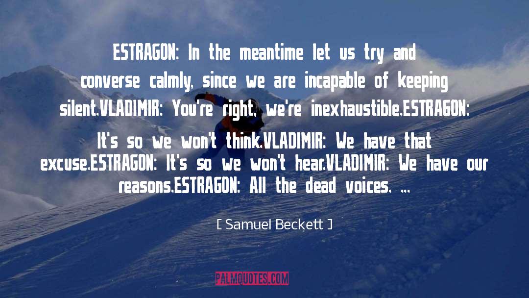 Samuel Beckett Quotes: ESTRAGON: In the meantime let