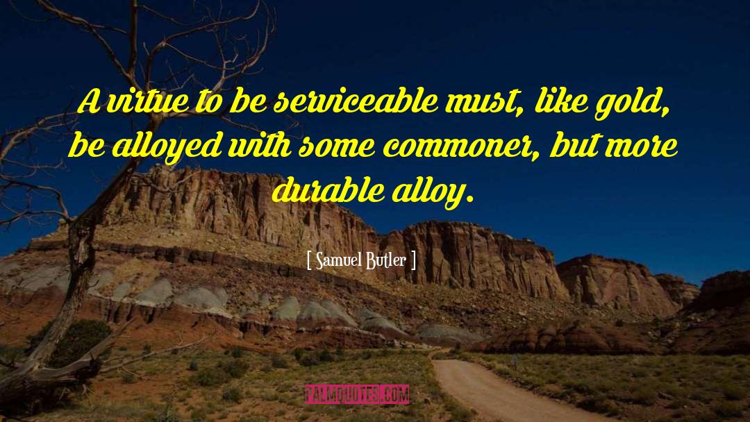 Samuel Butler Quotes: A virtue to be serviceable