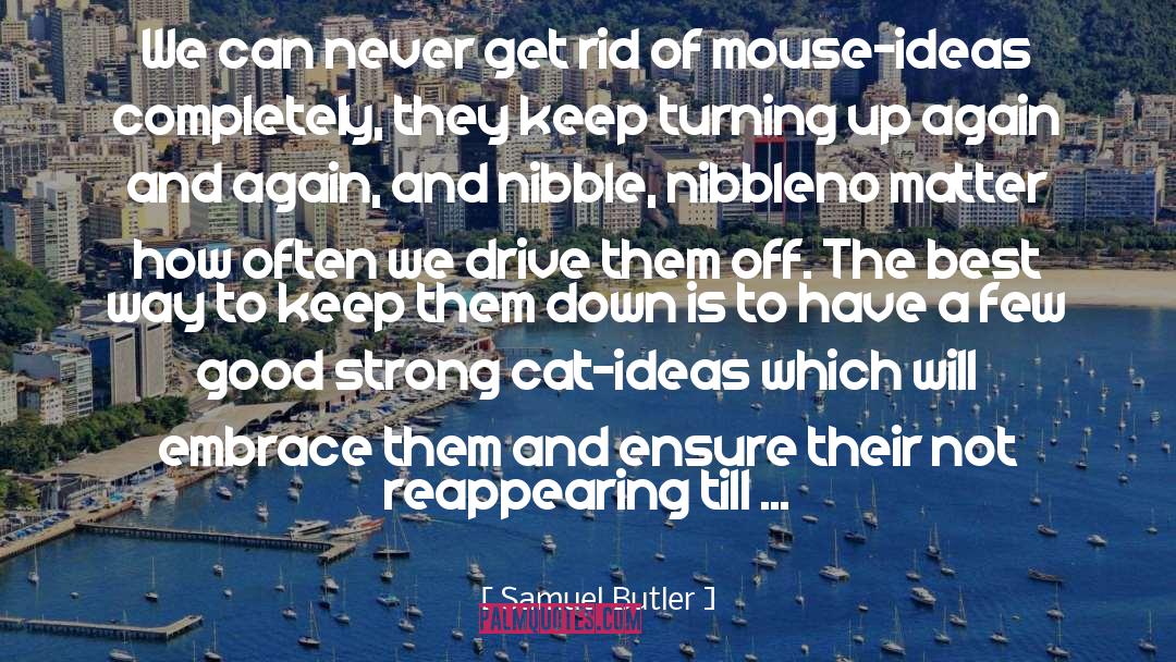 Samuel Butler Quotes: We can never get rid