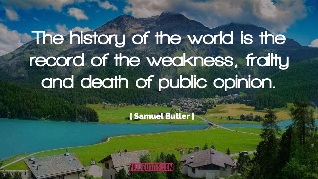 Samuel Butler Quotes: The history of the world