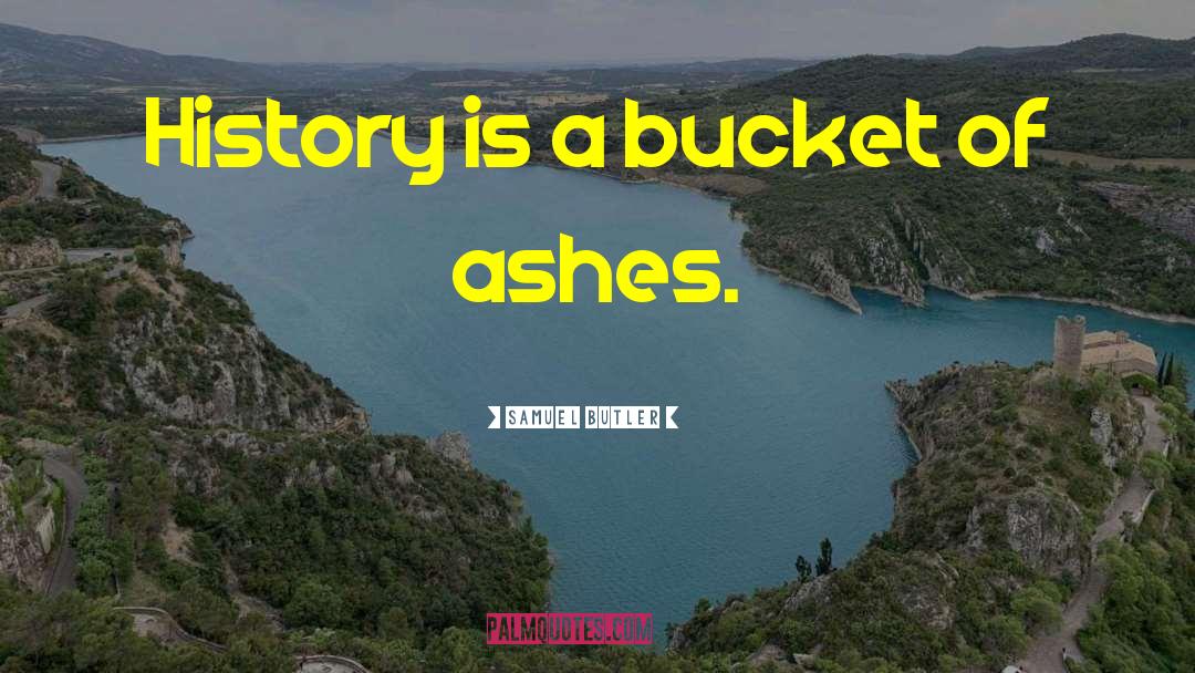 Samuel Butler Quotes: History is a bucket of