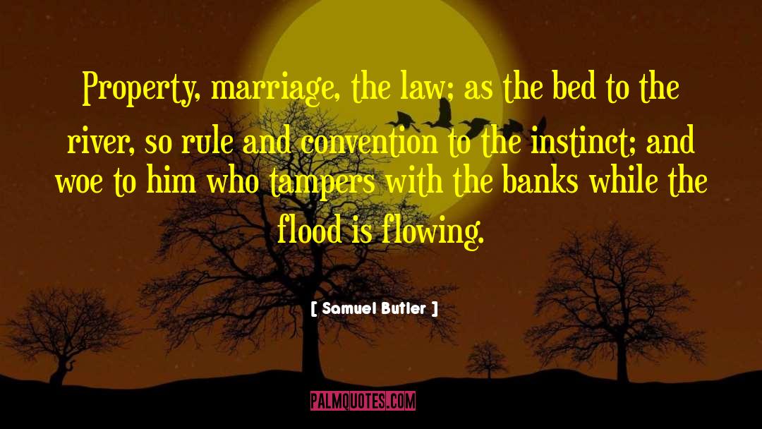 Samuel Butler Quotes: Property, marriage, the law; as