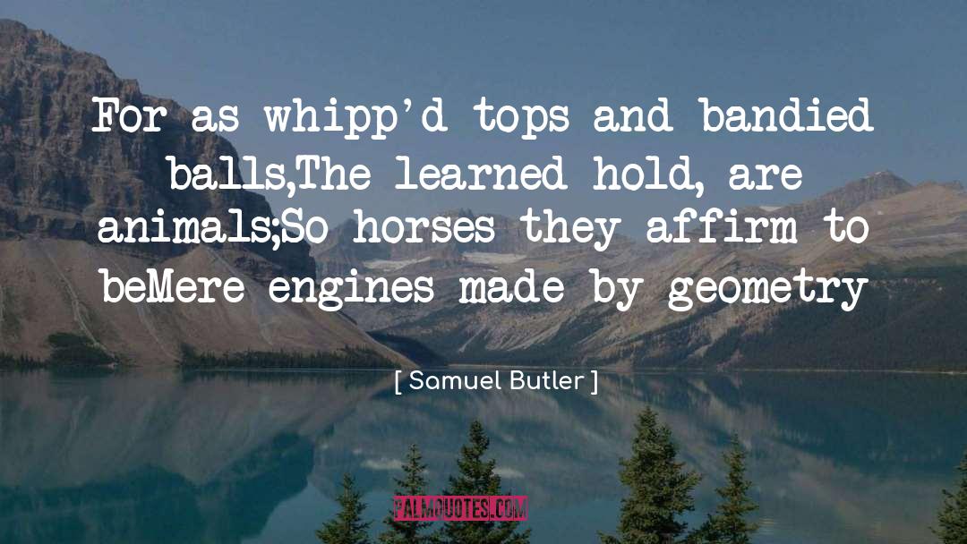 Samuel Butler Quotes: For as whipp'd tops and