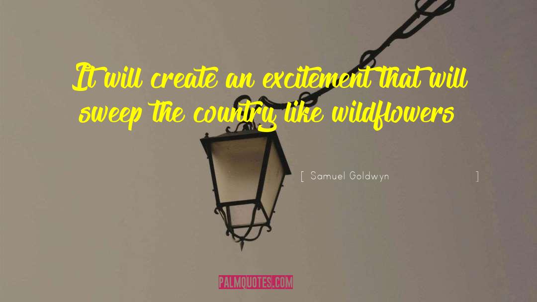 Samuel Goldwyn Quotes: It will create an excitement