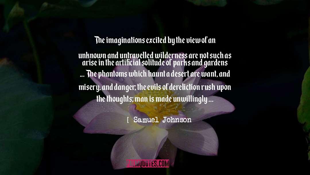 Samuel Johnson Quotes: The imaginations excited by the