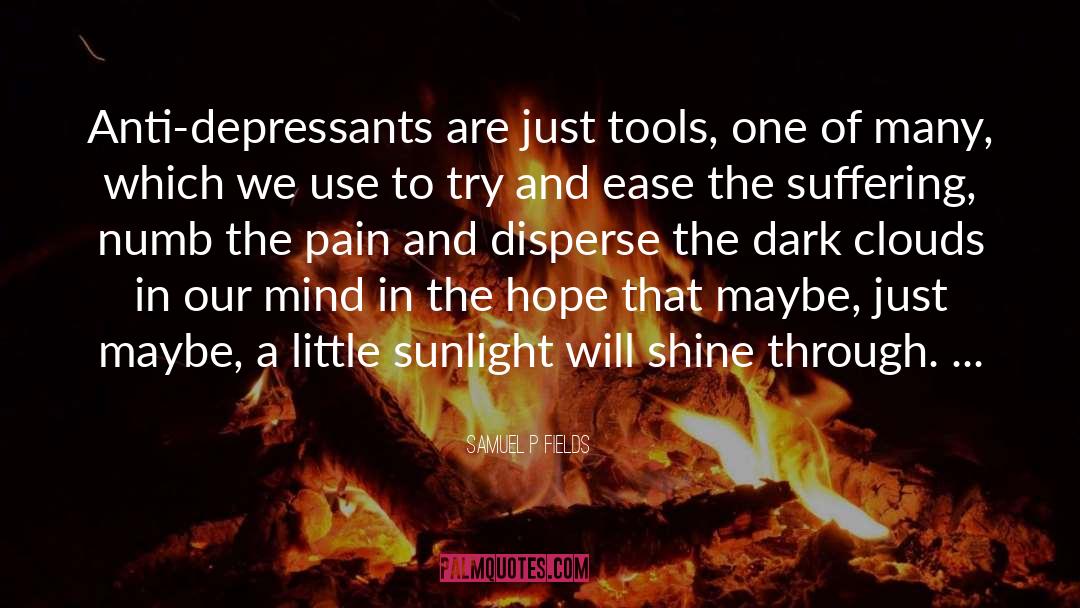 Samuel P Fields Quotes: Anti-depressants are just tools, one