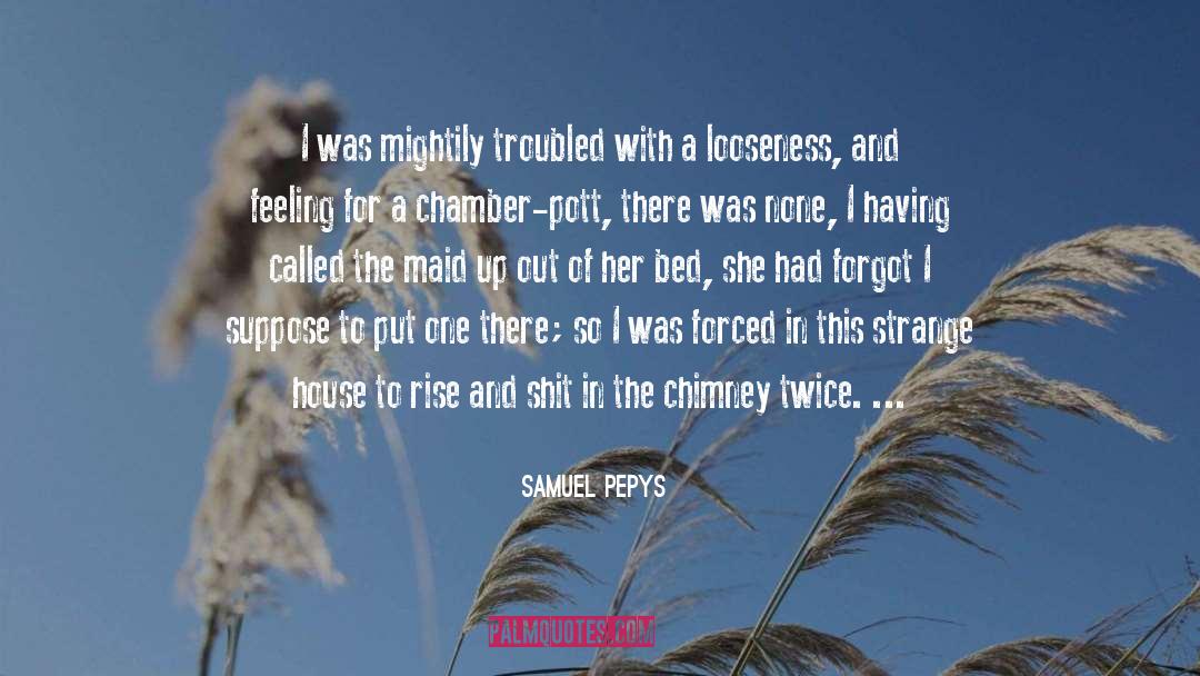 Samuel Pepys Quotes: I was mightily troubled with