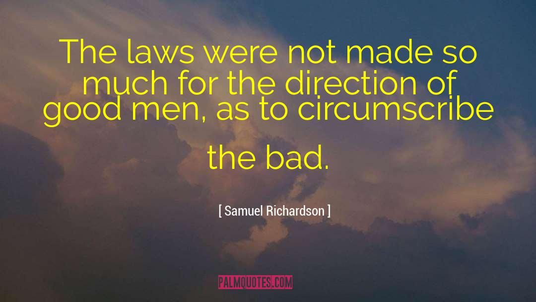 Samuel Richardson Quotes: The laws were not made