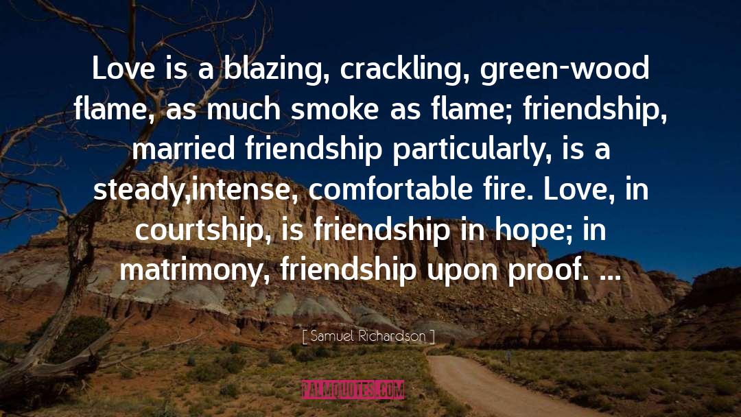 Samuel Richardson Quotes: Love is a blazing, crackling,