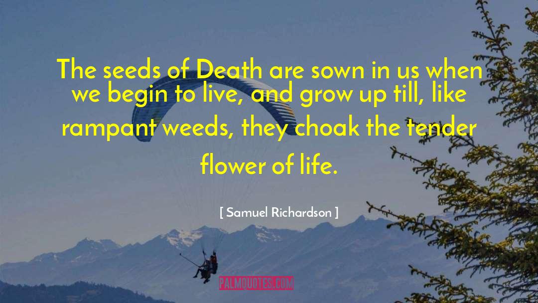 Samuel Richardson Quotes: The seeds of Death are