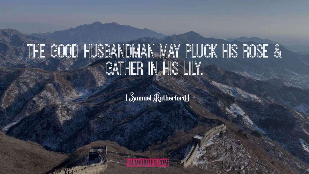 Samuel Rutherford Quotes: The good Husbandman may pluck