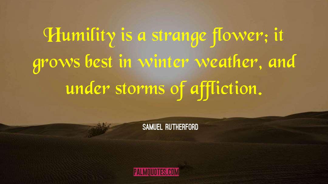 Samuel Rutherford Quotes: Humility is a strange flower;