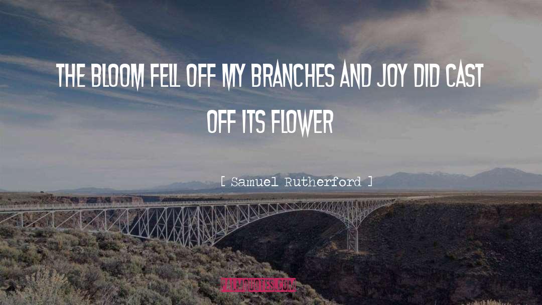 Samuel Rutherford Quotes: The bloom fell off my