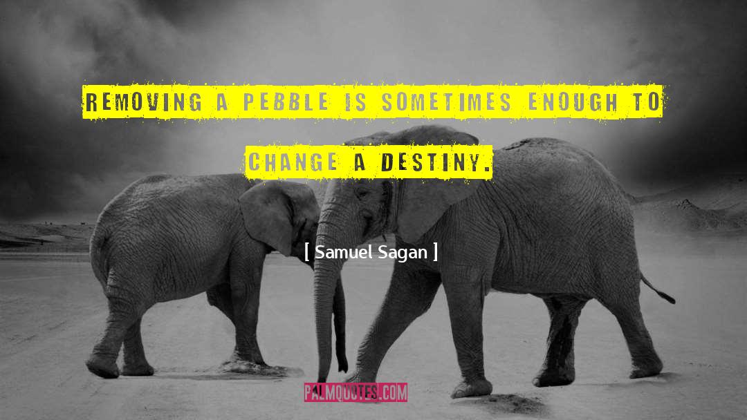 Samuel Sagan Quotes: Removing a pebble is sometimes