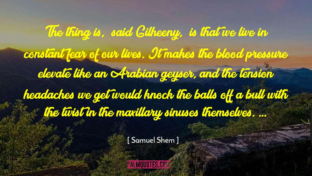 Samuel Shem Quotes: The thing is,