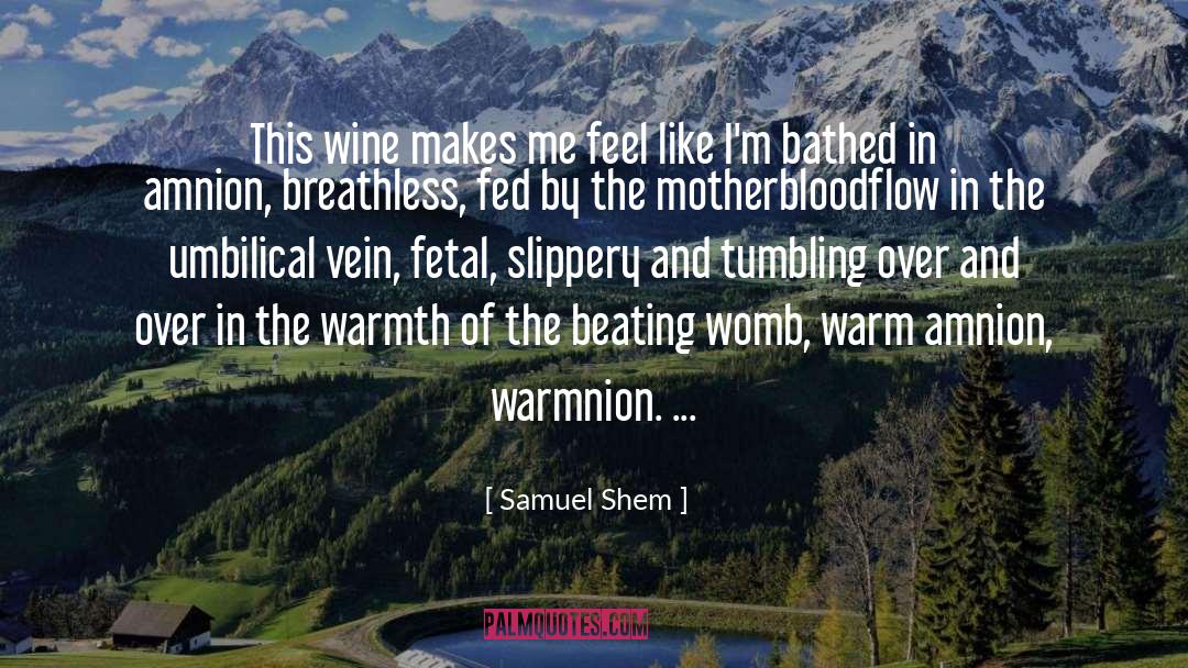 Samuel Shem Quotes: This wine makes me feel