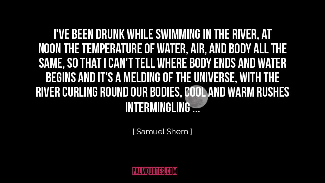 Samuel Shem Quotes: I've been drunk while swimming