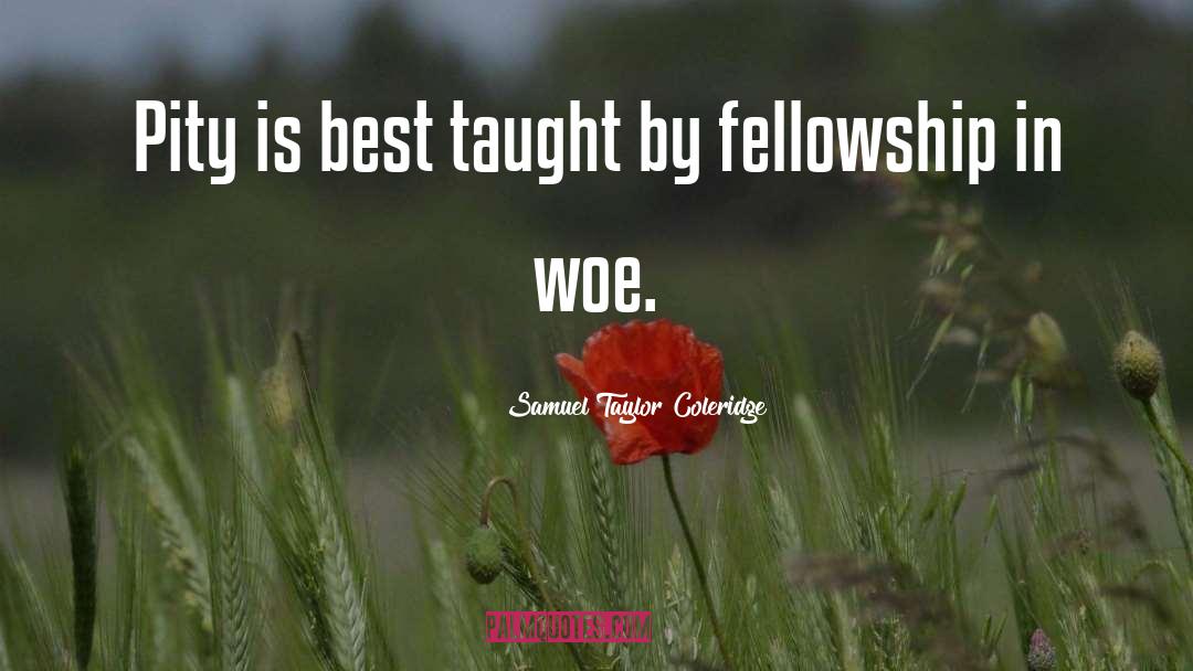 Samuel Taylor Coleridge Quotes: Pity is best taught by