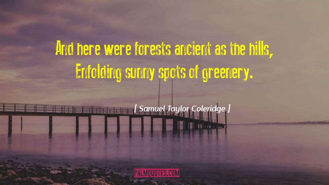 Samuel Taylor Coleridge Quotes: And here were forests ancient