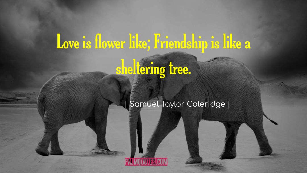 Samuel Taylor Coleridge Quotes: Love is flower like; Friendship