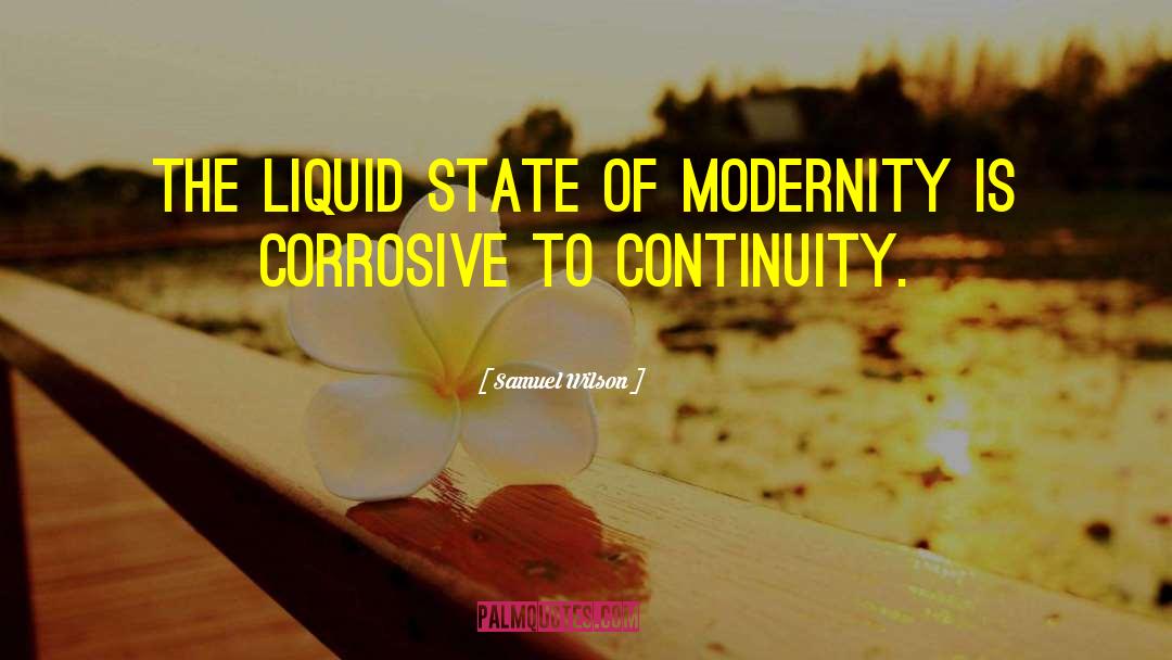 Samuel Wilson Quotes: The liquid state of modernity