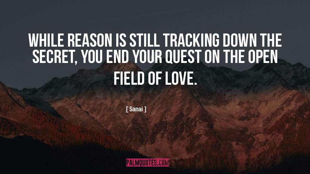 Sanai Quotes: While reason is still tracking