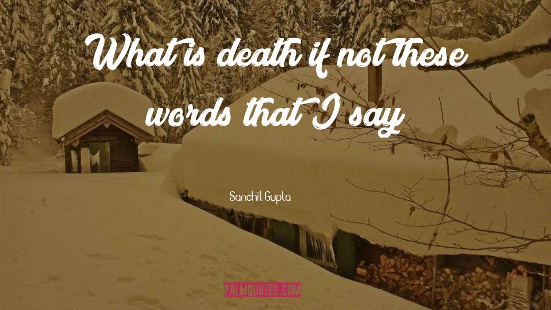 Sanchit Gupta Quotes: What is death if not