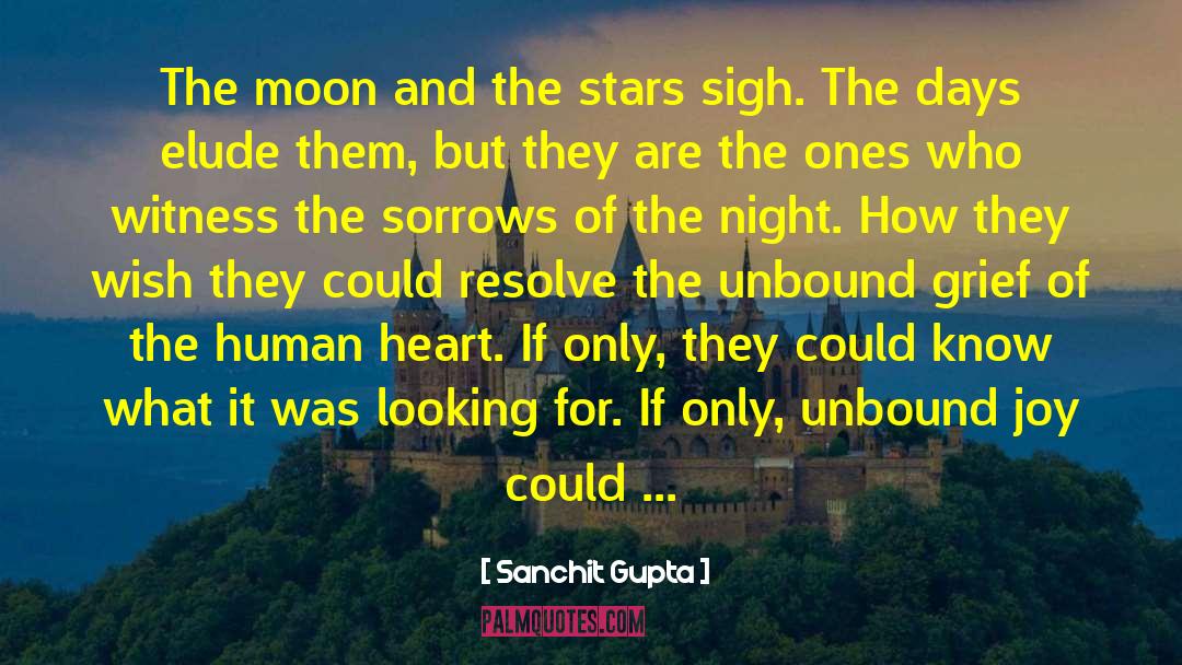Sanchit Gupta Quotes: The moon and the stars