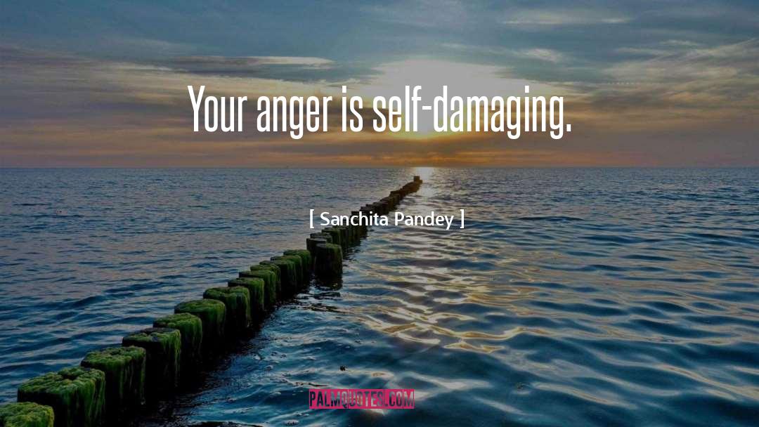 Sanchita Pandey Quotes: Your anger is self-damaging.