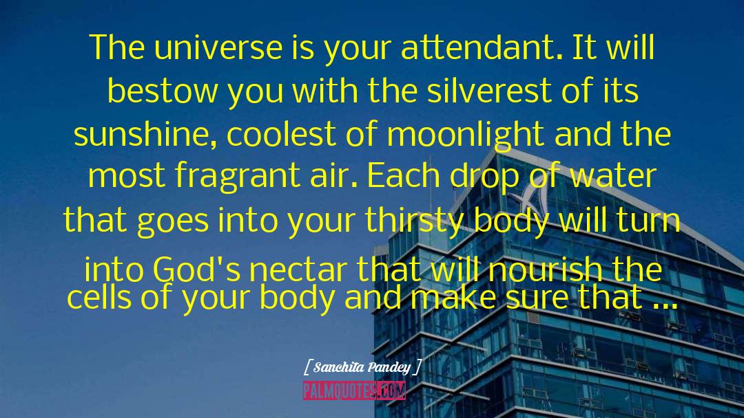 Sanchita Pandey Quotes: The universe is your attendant.