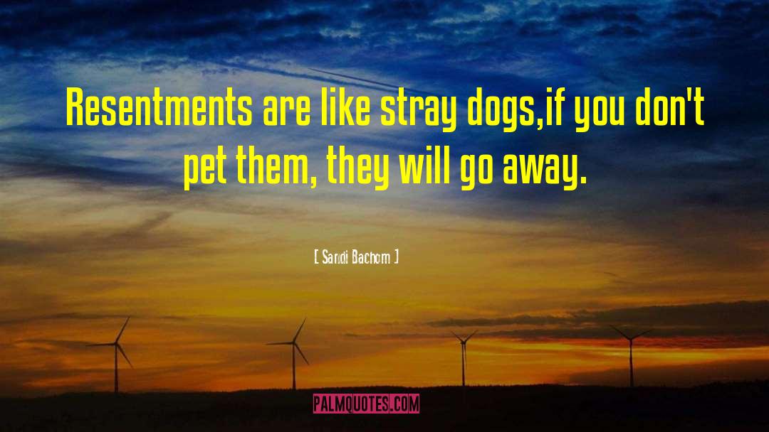 Sandi Bachom Quotes: Resentments are like stray dogs,if