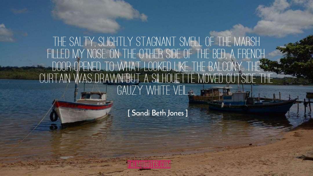 Sandi Beth Jones Quotes: The salty, slightly stagnant smell
